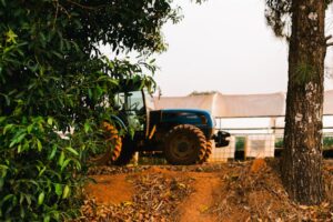 Read more about the article الذكاء الاصطناعي والابتكار في التكنولوجيا الزراعية