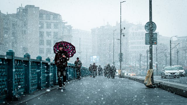 Read more about the article الذكاء الاصطناعي وتطوير النظم البيئية الذكية